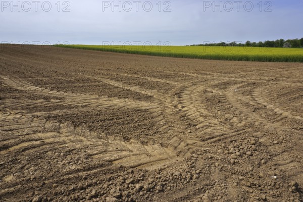 Field with tractor tracks, prepared for sowing, Swabian Alb, Field with tractor tracks, prepared