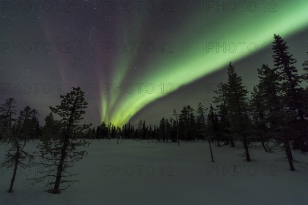 Northern Lights (Aurora borealis), Muddus National Park, Laponia World Heritage Site, Norrbotten,