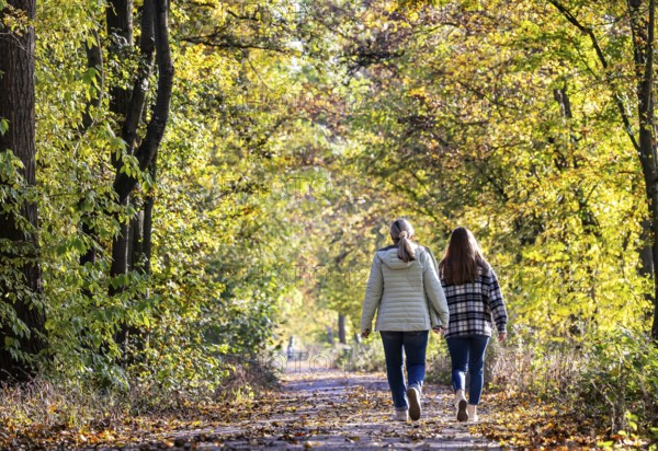 A walk through a colourful autumn forest. Two young woman on a circular path on the banks of the