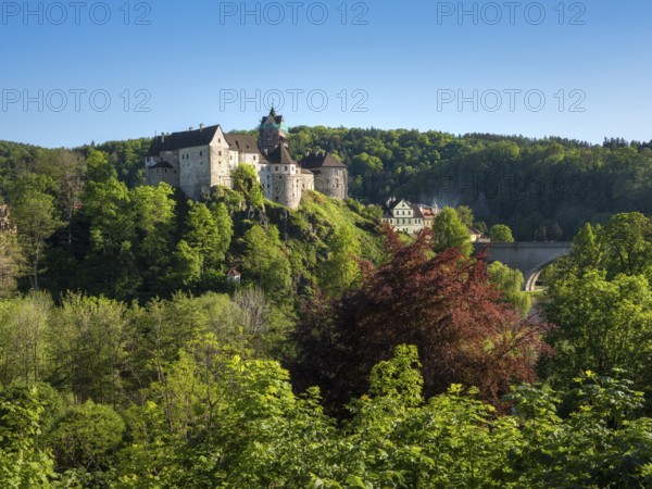 View of Loket Castle, Loket, Bohemia, Western Bohemia, Karlovy Vary, Karlovy Vary Region,