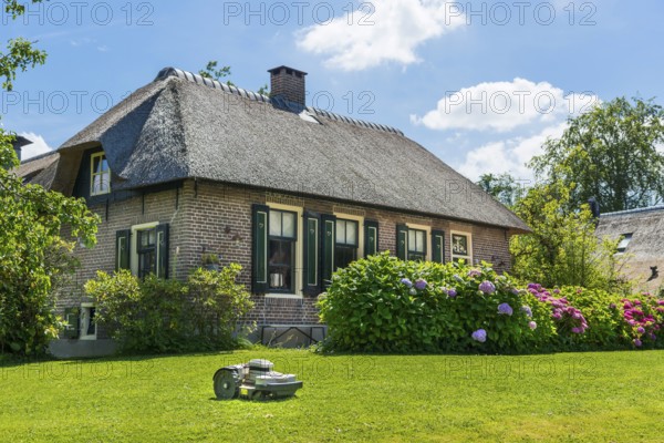 Thatched roof house, house, farmhouse, village, village, mowing robot, lawn, flowers, well-kept,