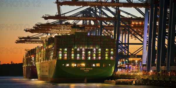 Container terminal Burchardkai with full container ship Ever Genius from Panama in the evening,