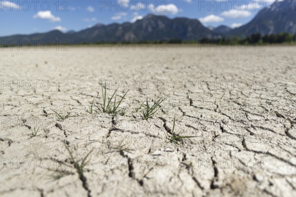 Cracked, dried out ground, waterless Forggensee in spring, behind it Tegelberg massif and Säuling,