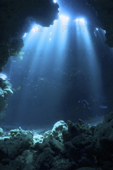 Diver swimming in cave, underwater, light rays, sun rays, dive site Shaab Claudia reef, Red Sea,