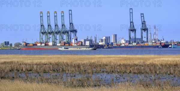 Gantry cranes and stacked containers on container ships docked at container terminal in the port of