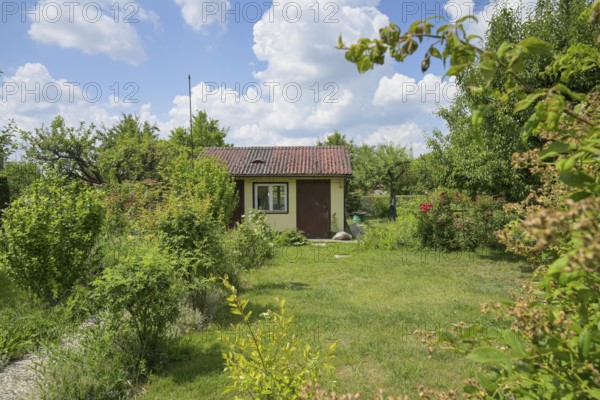 Allotment garden, colony Papestraße, Tempelhof-Schöneberg, Berlin, Germany