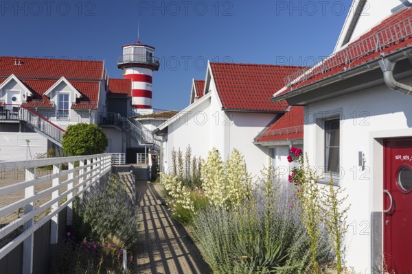 Holiday resort with holiday homes and lighthouse on Lake Geierswalde, Geierswalde, Lusatian