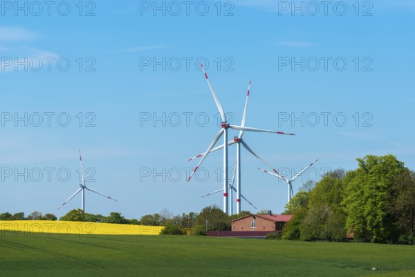 Small wind farm between agricultural areas, rape cultivation, barley, deciduous trees, close to the