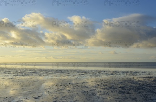 North Sea, Wadden Sea at low tide, blue sky with low clouds (cumulus), Norddeich, Lower Saxony,