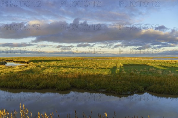 Wide green meadow with clouds and sunlight, shadow on the ground, quiet nature atmosphere,