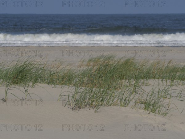 Beach with sand dunes and grass, breaking waves and blue sky in the background, juist, east frisia,