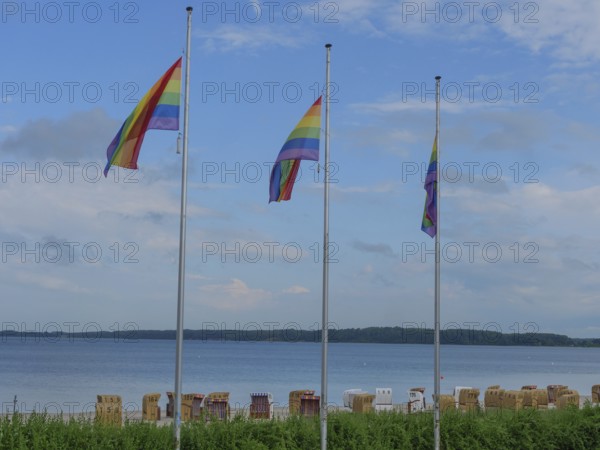 Three rainbow flags waving on the beach above a row of beach chairs, calm water in the background,