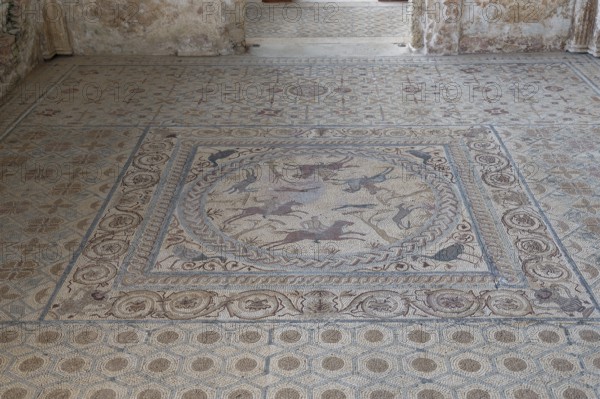 Floor mosaic, House of Fountains, Roman ruins, Conimbriga, Condeixa-a-Velha, Condeixa-a-Velha,