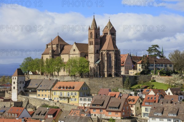 View from Eckartsberg to Münsterberg with Radbrunnenturm and cathedral, Breisach am Rhein,