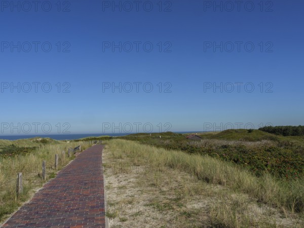 A cobbled path leads through the dune landscape with grassy vegetation under a sunny, blue sky,