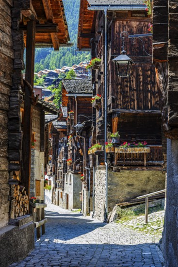 Old wooden houses in log construction, decorated with flowers, village street, historic village