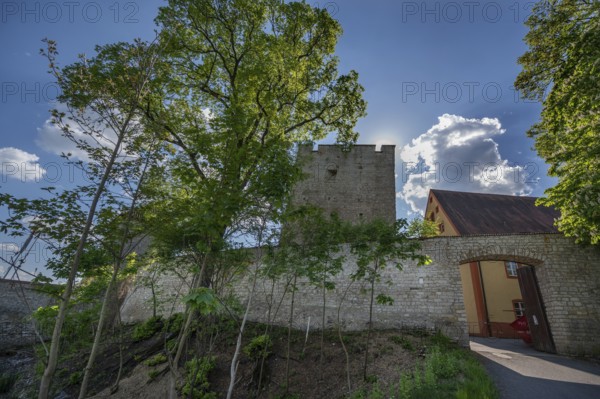 Burgnauer with watchtower of Lengenfeld Castle, dating from the 12th century, Burglengenfeld, Upper