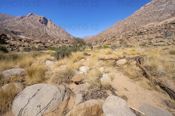 Tsisab Gorge, White Lady Trail, desert landscape with mountains, Brandberg, Erongo, Damaraland,