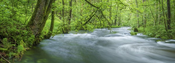 White water and rapids on the Trieb stream in the Triebtal nature reserve in Vogtland, Plauen,