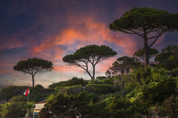 Sunset above Stecci beach, near Capoliveri, Elba Island, Tuscan Archipelago National Park, Tuscany,