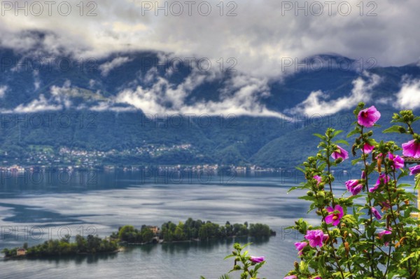 Alpine Lake Maggiore with Brissago Island and Mountain with Rainy Clouds and Beautiful Flowers in