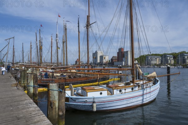 Sailing boats in the museum harbour, Flensburg, Flensburg Fjord, Baltic Sea, Schleswig-Holstein,