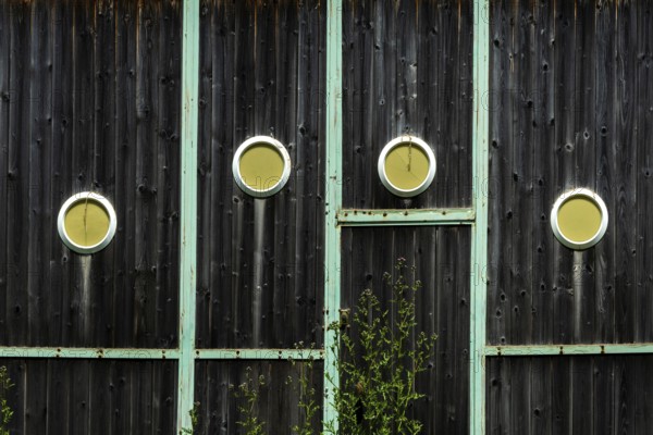 Wooden wall with dark finish showcases four circular cutouts revealing bright yellow interiors,
