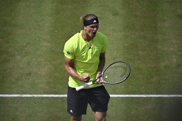 Alexander Zverev GER, jubilation, emotion, tennis, ATP 250, BOSS Open 2025, Stuttgart,