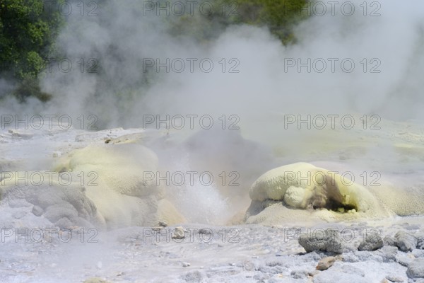 Yellowish sulphur deposit on volcanic rock formations with rising steam, Te Puia, Whakarewarewa,
