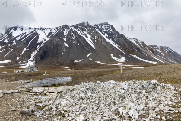 Broken wooden boat in front of hunting hut, wooden hut, bones of white whale (Delphinapterus