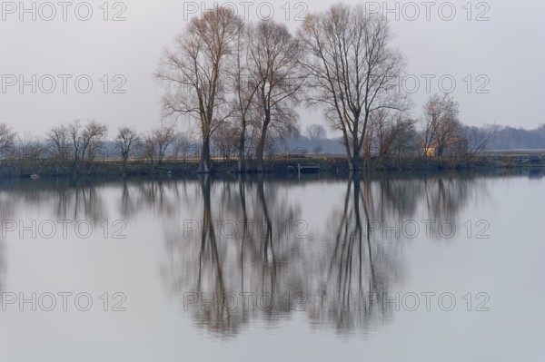 Evening mood at Moosinninger Weiher, quarry pond, fishing pond for carp, reflection of the trees on