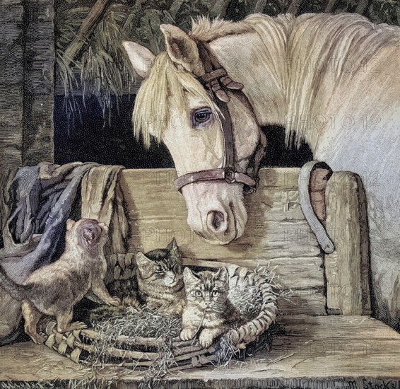 Kittens and a horse as friends, young cats and a white horse in a stable, Illustration from 1894,