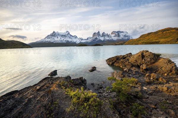 Shore of the blue lake Lago Pehoe in the evening light, Cuernos del Paine mountain range, Torres