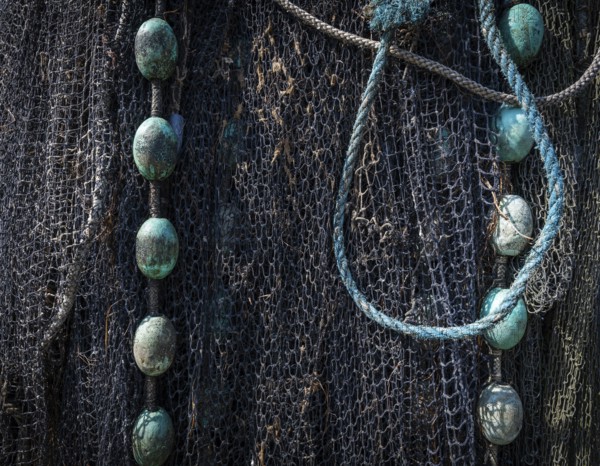 Detailed close-up of a fishing net with ropes and blue-green floats, harbour, Ringkøbing,