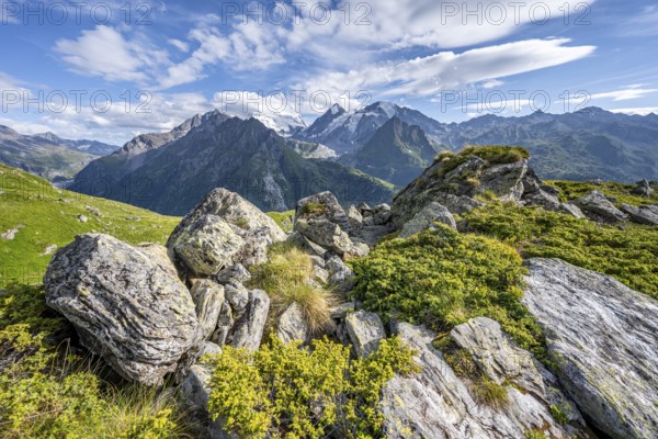 View from the Cabane du Louvie of the glaciated mountain peaks of the Grand Combine, Valais Alps,