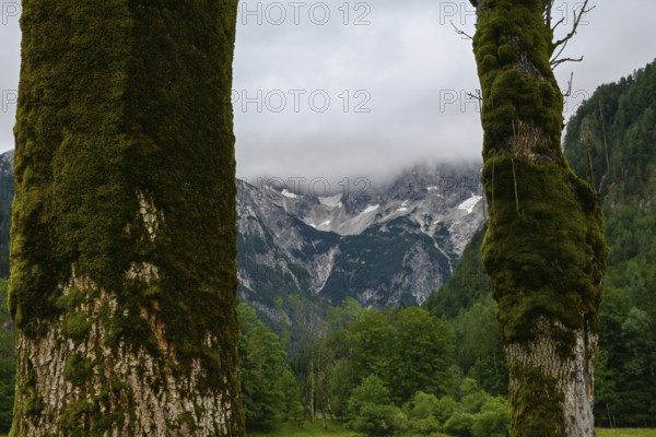 A view of the majestic Kamnik-Savinja Alps in Zgornje Jezersko, Slovenia, opens up through two