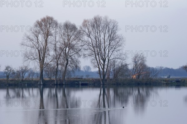Evening mood at Moosinninger Weiher, quarry pond, fishing pond for carp, reflection of the trees on