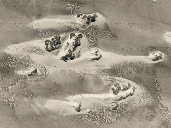 Small sand heaps form around the sparse vegetation in the Namib Desert. Aerial view. Drone shot.