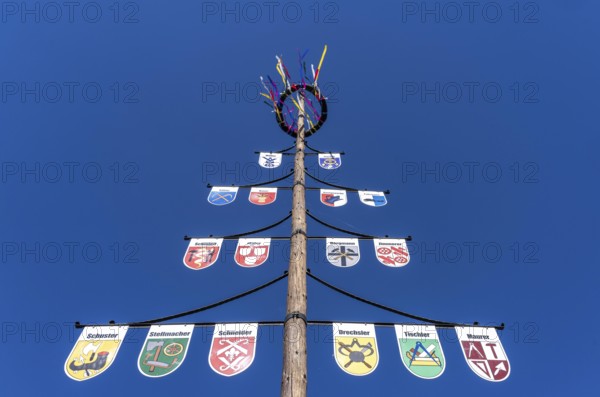 Guild tree, guild tree, guild sign, coat of arms of the various trades, in the Hochsauerlandkreis,