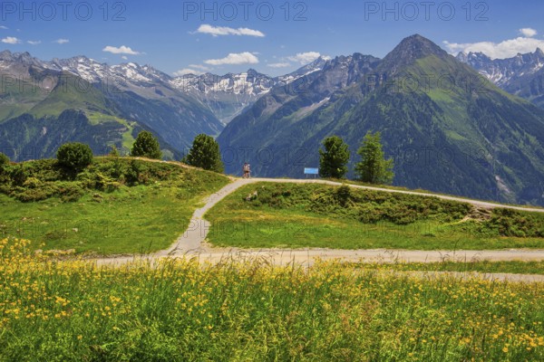 Hiking trail on the Penken with a view of the Stilluptal, Mayrhofen, Zillertal, Zillertal Alps,