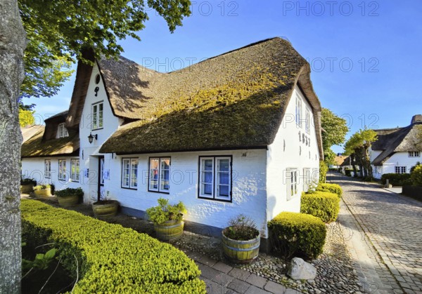 Uthland Frisian houses, Frisian houses, typical thatched roof houses in the village of Nieblum,