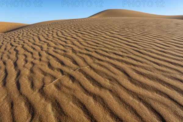 A sandy desert with a blue sky in the background. The sand is ribbed and has a slight slope.