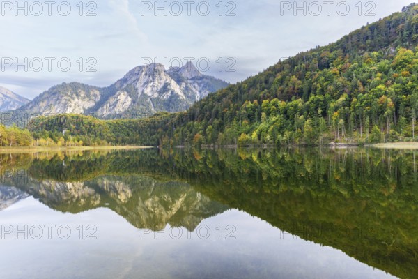 Schwansee, near Hohenschwangau, Romantic Road, behind it the Pilgerschrofen and the Säuling,