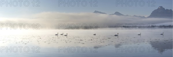 Sunrise at Lake Hopfensee near Füssen, with the Tegelberg massif and the Säuling behind it,