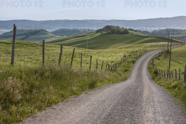 A winding country lane leads through rolling green hills with fences, while the morning mist
