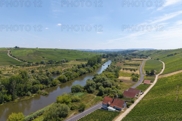 A river flowing through a landscape flanked by vineyards and a road, near Volkach, Mainfranken,