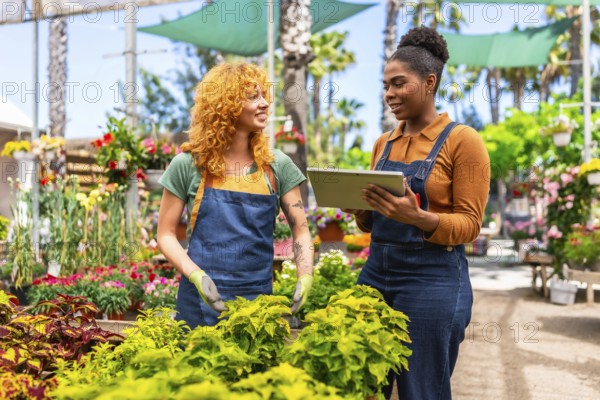 Two female garden center workers are discussing inventory and plant care using a digital tablet in