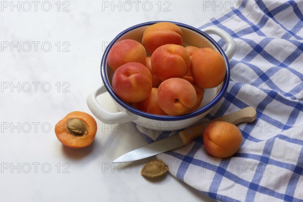 Apricot, apricots in shell, Prunus armeniaca