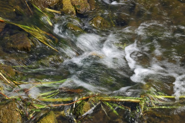 Bottrop, North Rhine-Westphalia, Germany - Renaturalised Boye, the tributary of the Emscher, has