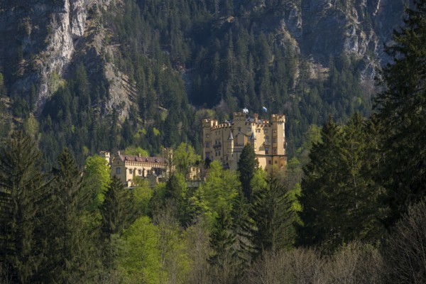 Hohenschwangau Castle is hidden in a dense mountain forest beneath dramatic towering cliffs,
